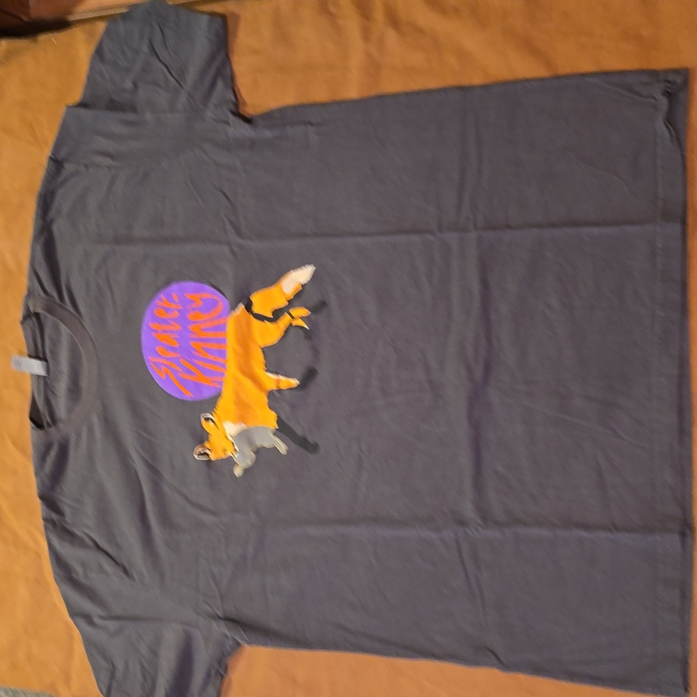Sleater-Kinney Tour T-Shirt